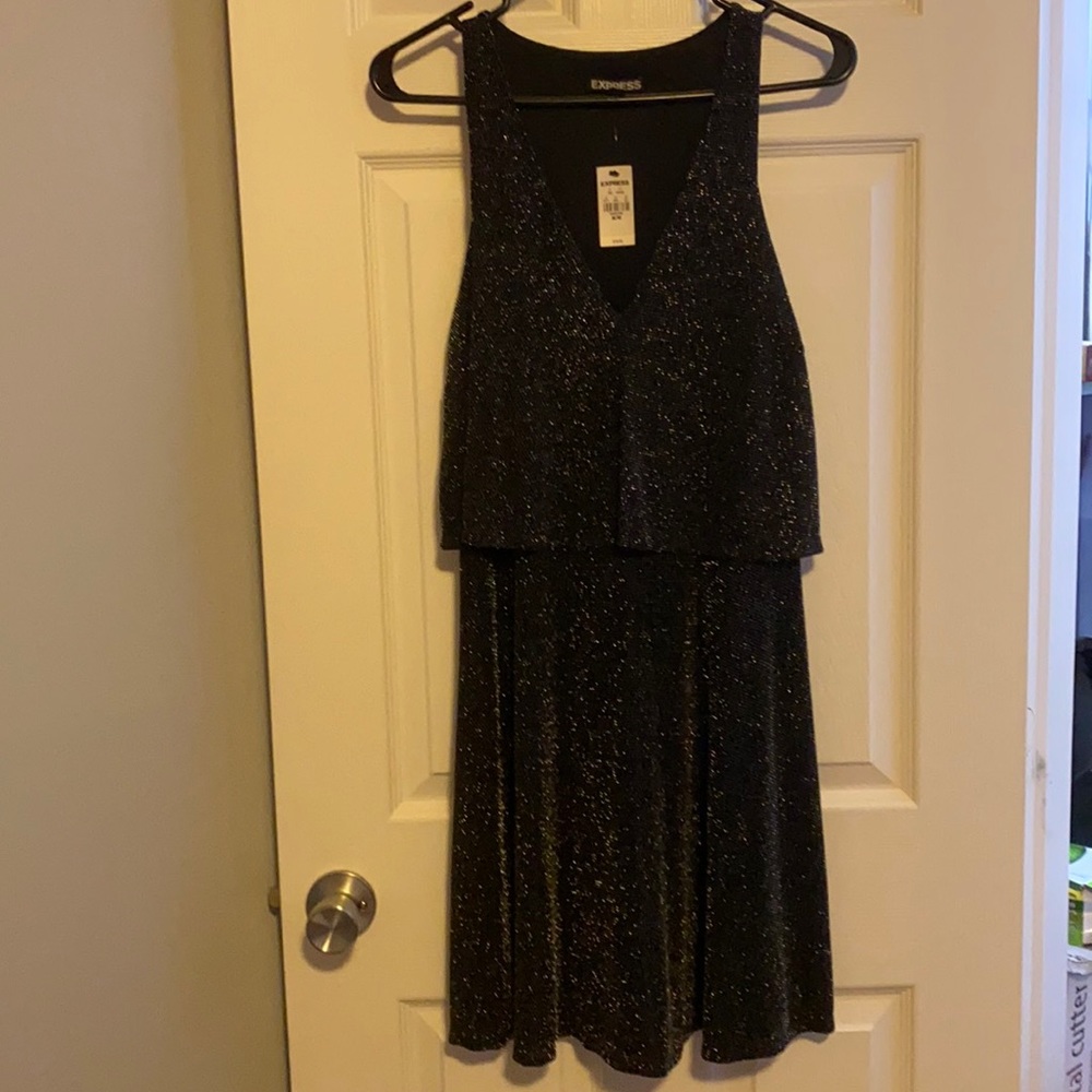 Express Brand Sparkly Black Dress